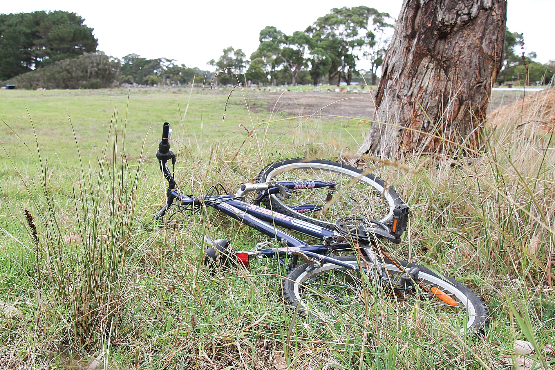 Items stolen from the Wonthaggi Transfer Station were dumped at night in the cemetery next door. B05_1525