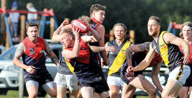 Tigers take points against MDU