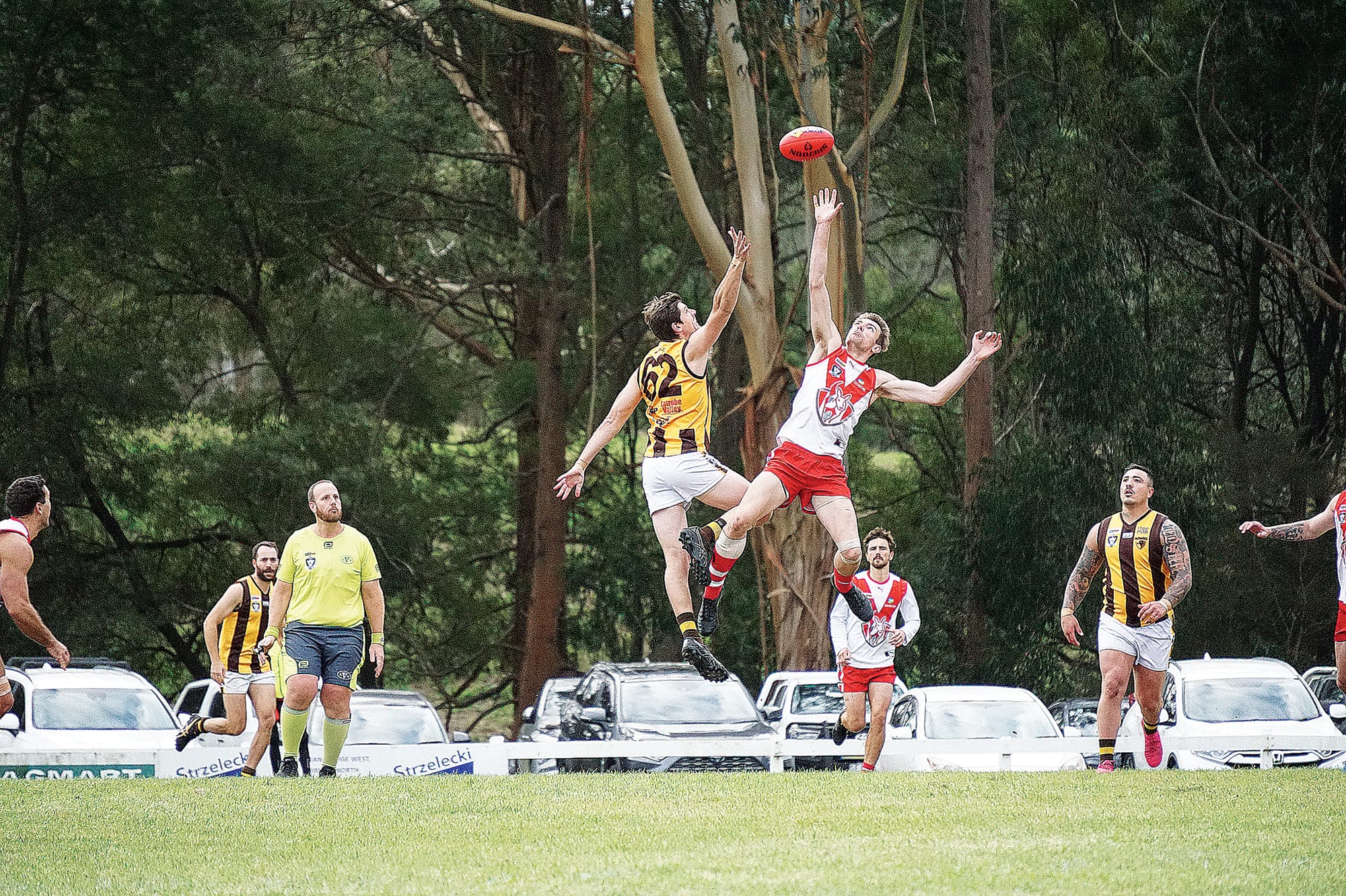 Inaccurate Fish Creek demolishes Morwell East