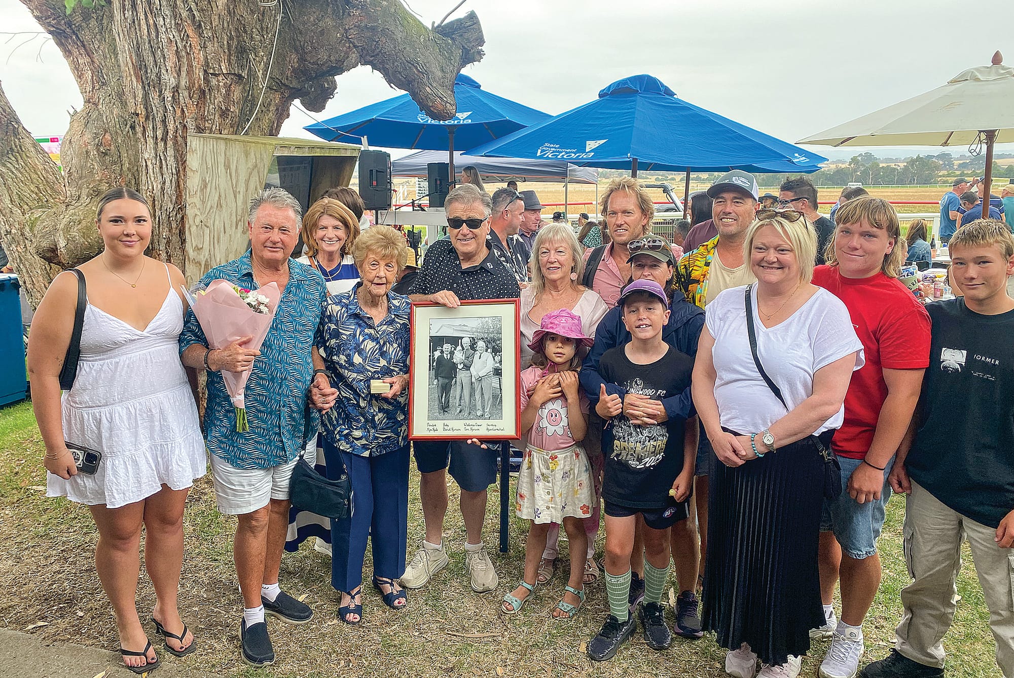 Picnic horse of the year Shahin wins the Woolamai Cup