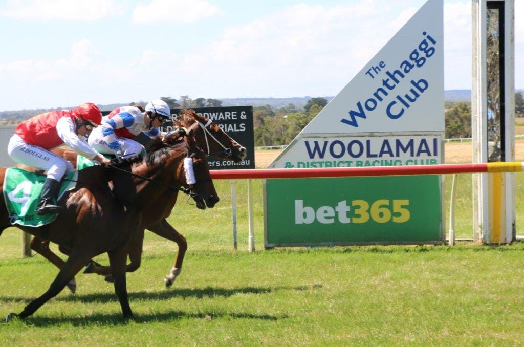 Melinda McDonald, riding Dustin Dhahran, holds off the fast-finishing Fonteinbolt to secure one of three race wins on the day at Woolamai on Saturday.