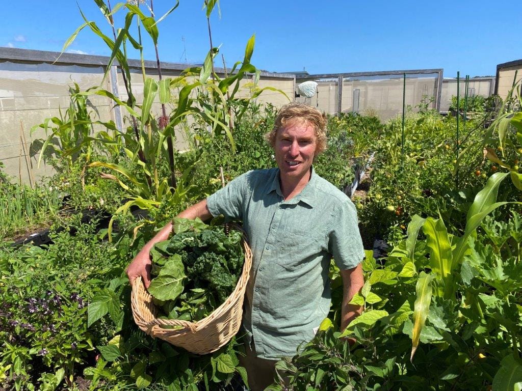 Be inspired to start your own vegie patch