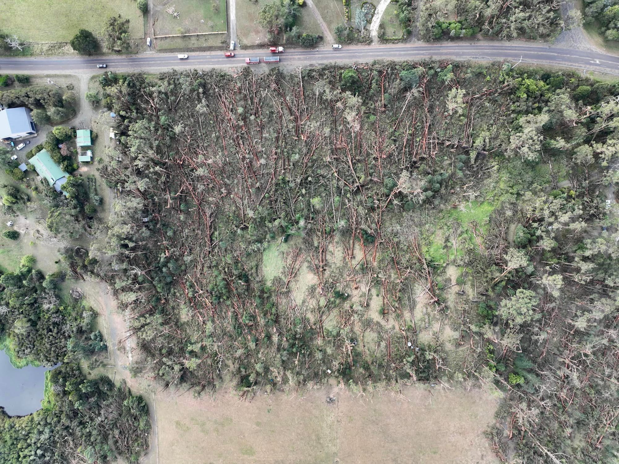 Thousands of trees were brought down in a matter of a few minutes during the intense microburst storm that many are calling a cyclone which hit the Mirboo North area last Tuesday afternoon.