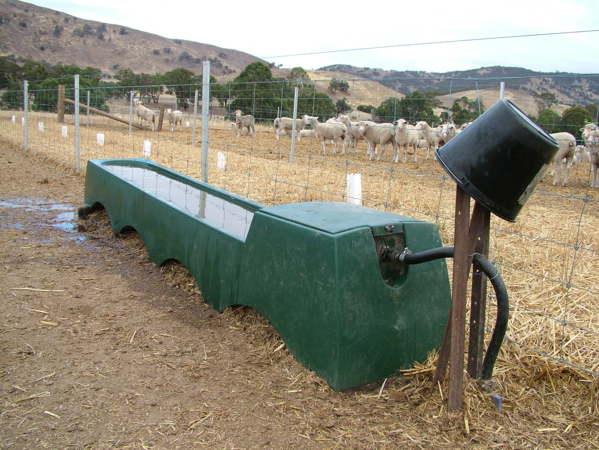 Purchasing appropriately sized pumps, tanks, troughs and pipes is essential for providing the flow of water needed for stock on a hot day. 