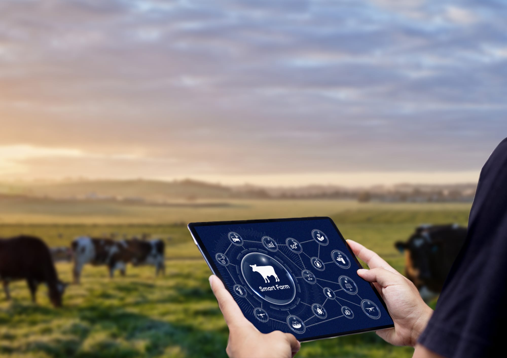 Forward-thinking focus for Gippsland’s dairy farmers