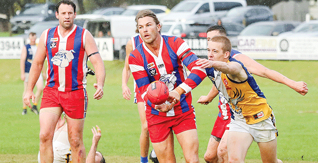 Bulldogs roar home