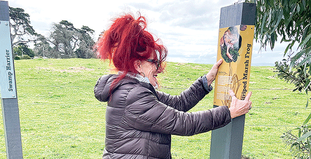 Placemaking project in Venus Bay