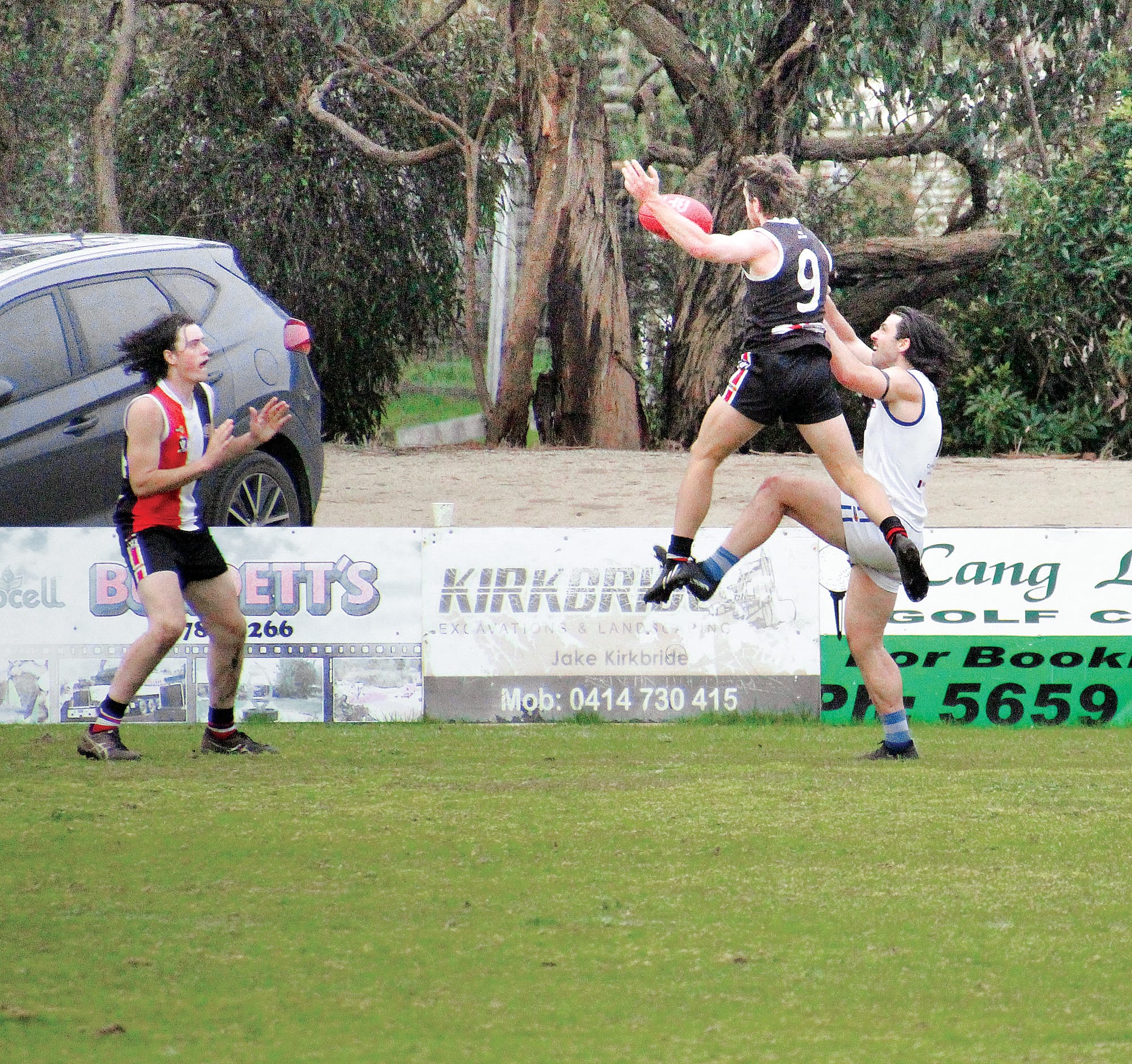 Competitive Saints fall as Cats remain unbeaten