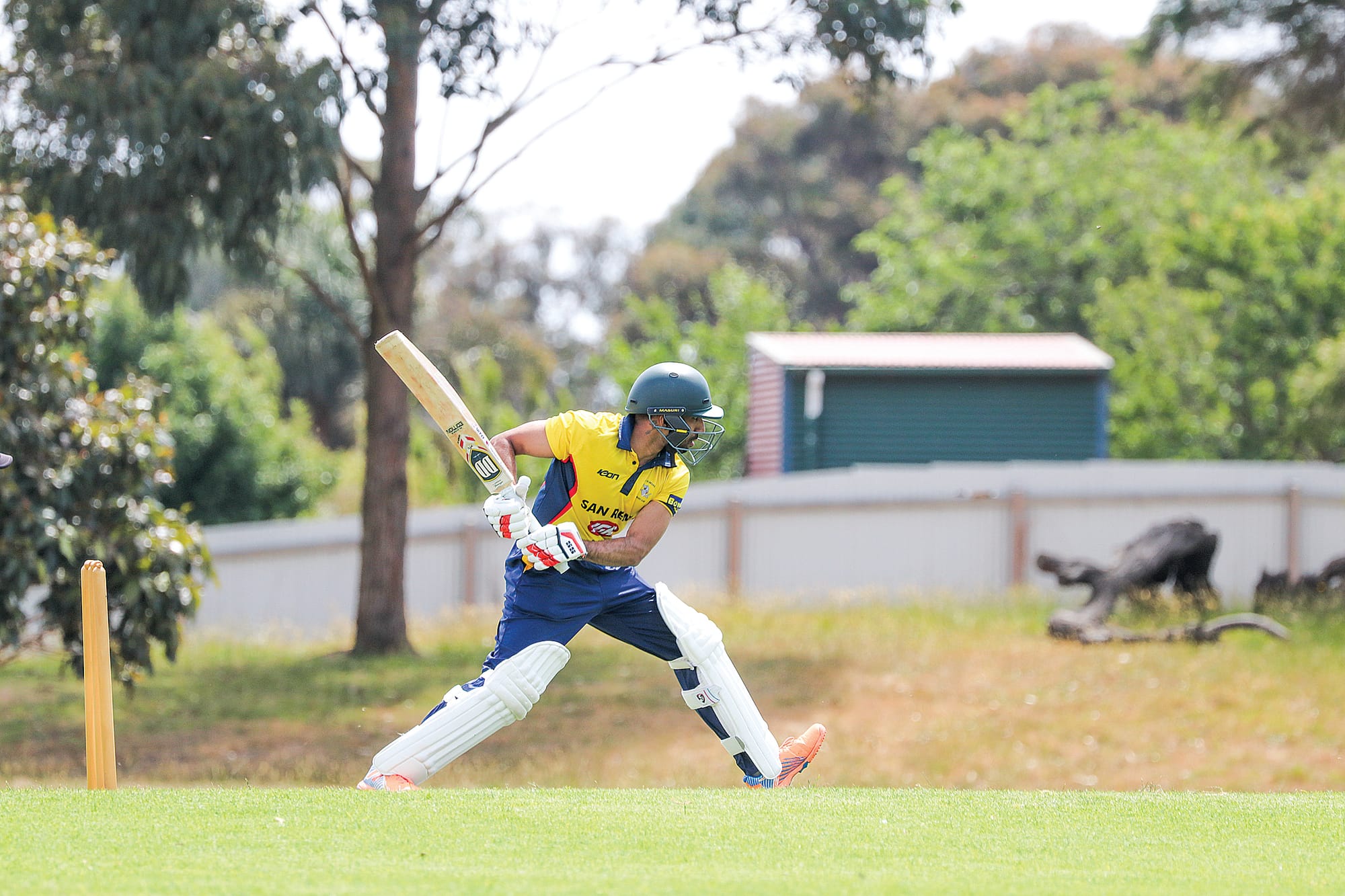Cobras claim round one win