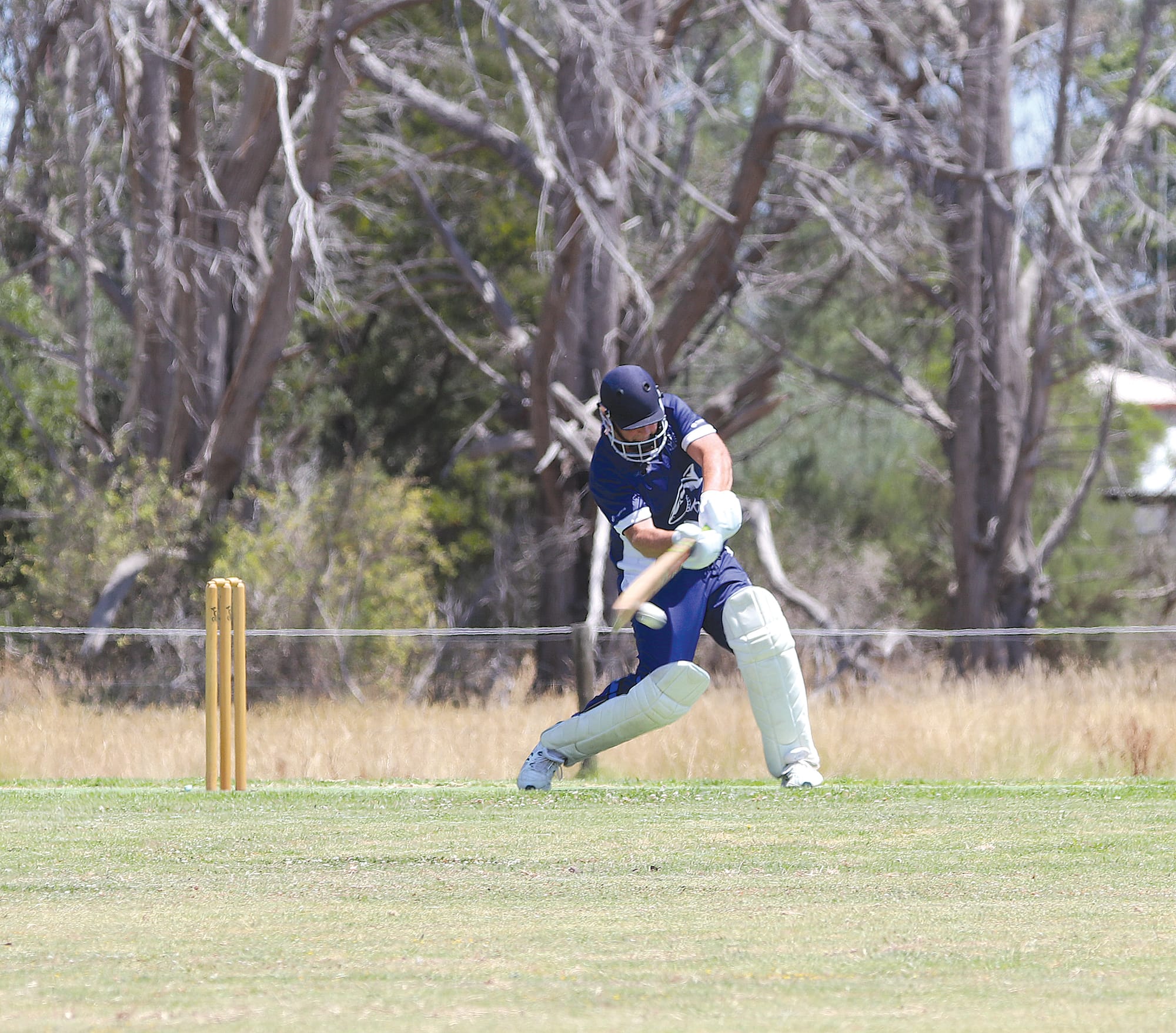 Kilcunda Bass opened the batting in the B Grade match against Imperials 