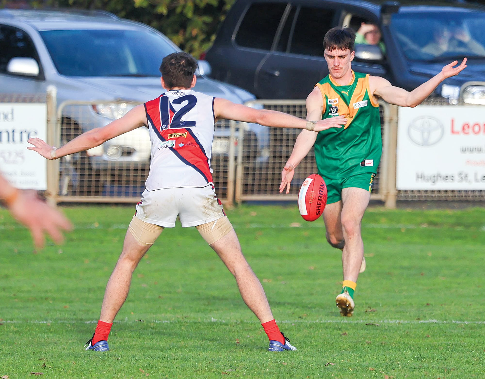 Parrots tested early by visiting Bairnsdale