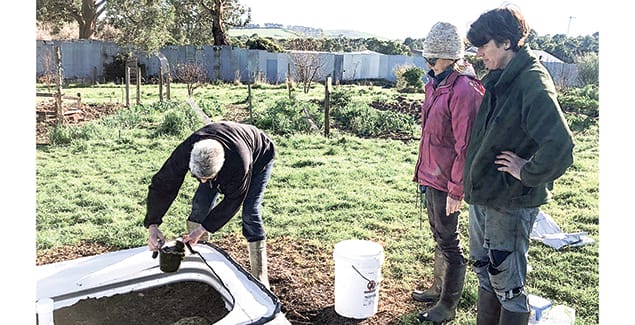 Dung beetle nurseries are digging in