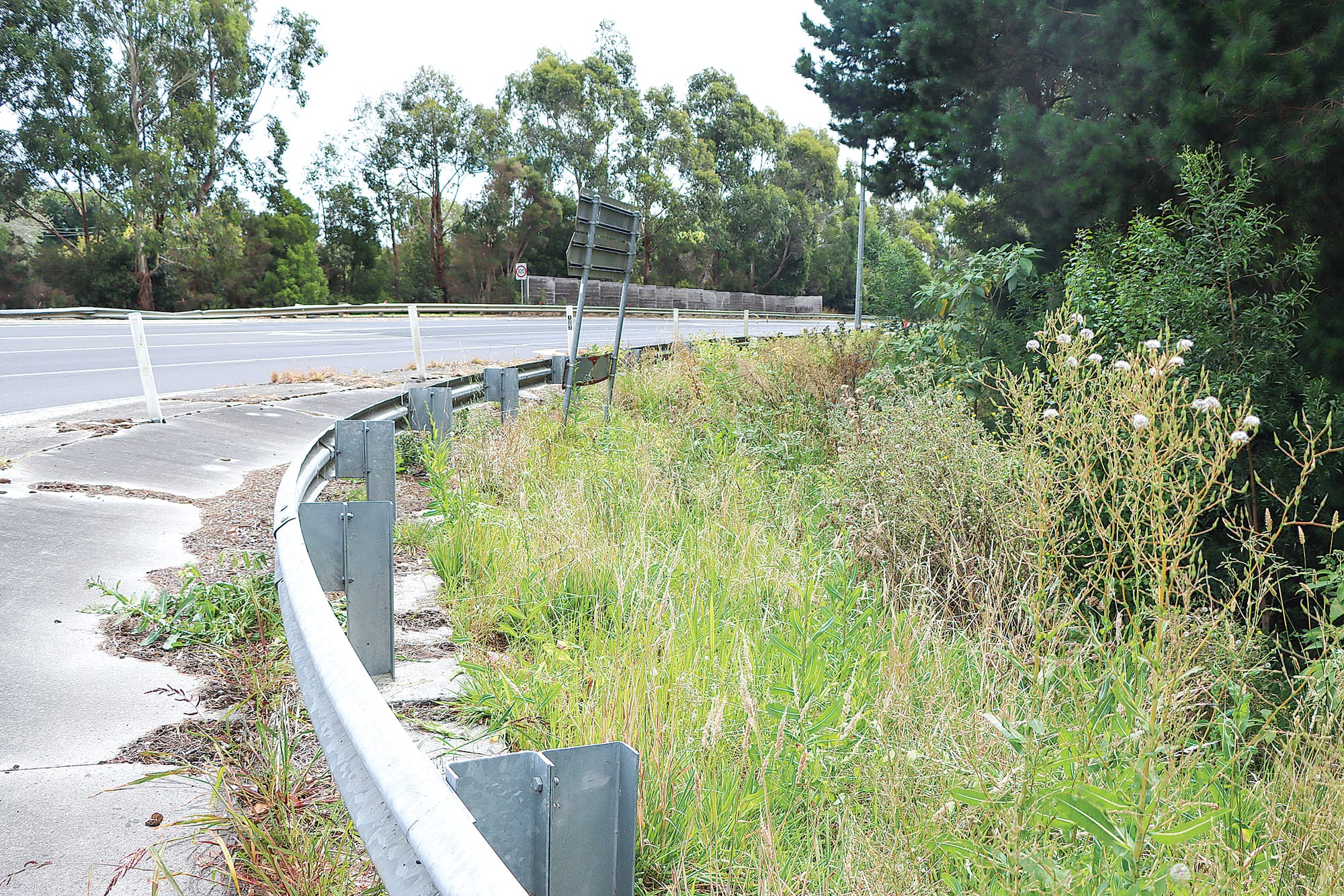 Minister for Roads and Road Safety Melissa Horne has advised that action will be taken this month to reduce roadside vegetation at this Loch intersection. A18_0624