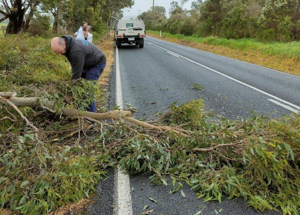 Trees down, take care on roads