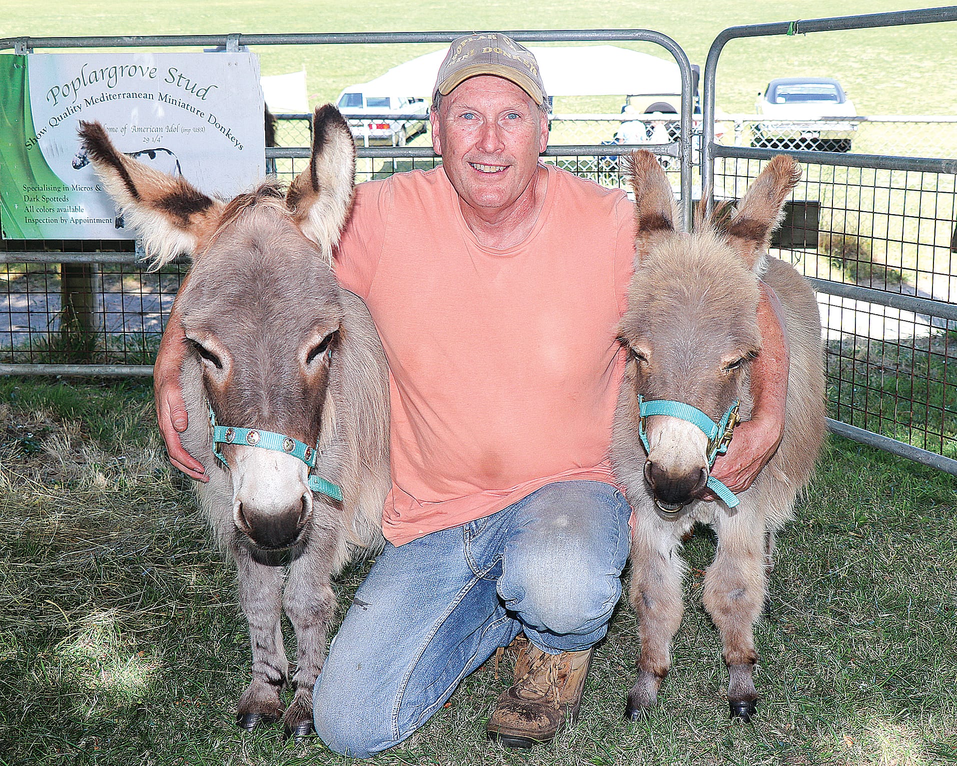 Peter Hearn of Poplargrove Stud with Angelique and Boof, showcasing the boutique breeding of miniature donkeys at the Korumburra Show.