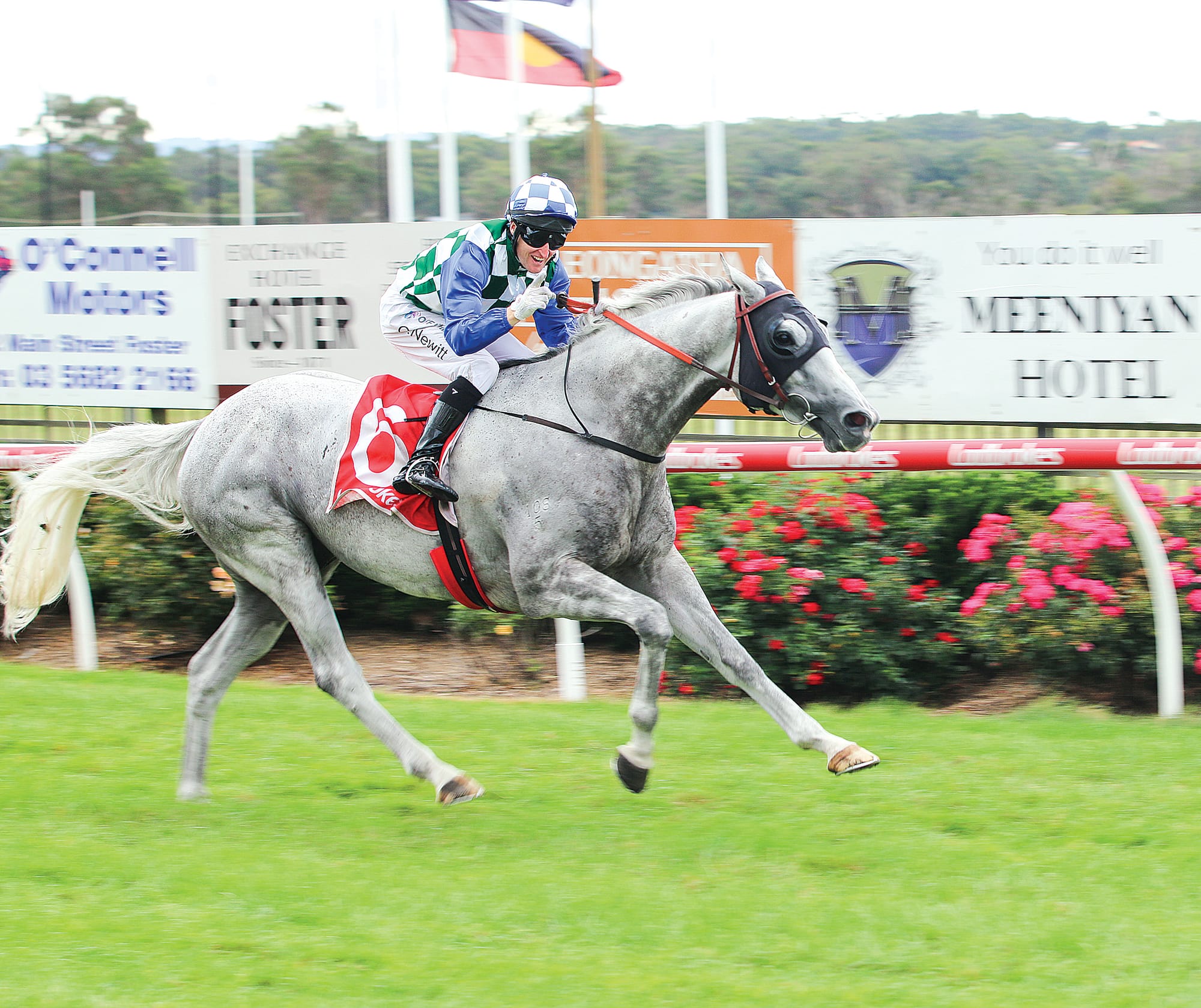 Favourite Flambeur took to the lead in the 2100m Ladbrokes Stony Creek Cup for an easy win down the straight during last year’s event.
