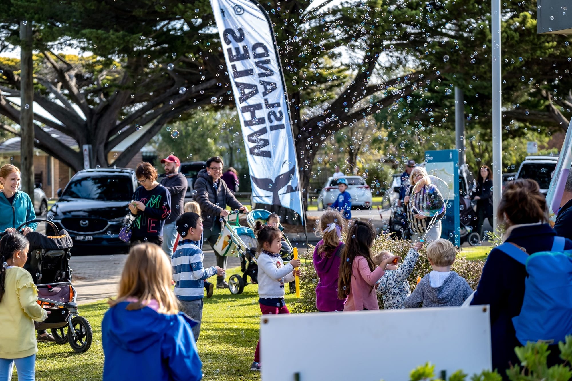 Island Whale Festival makes a splash for 2023