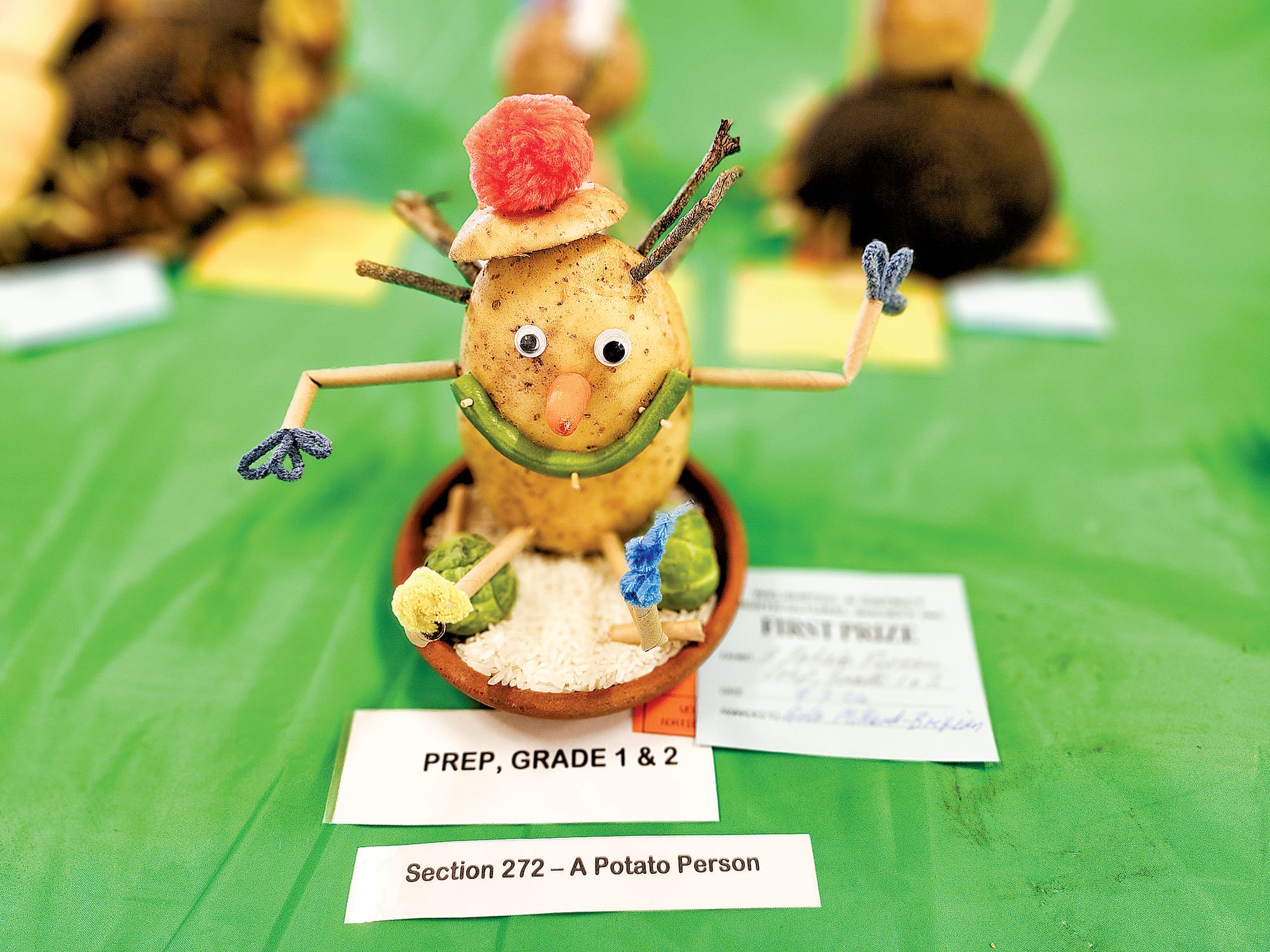 Local primary school student Arlo won the Potato People award for his spectacular design. C24_1124