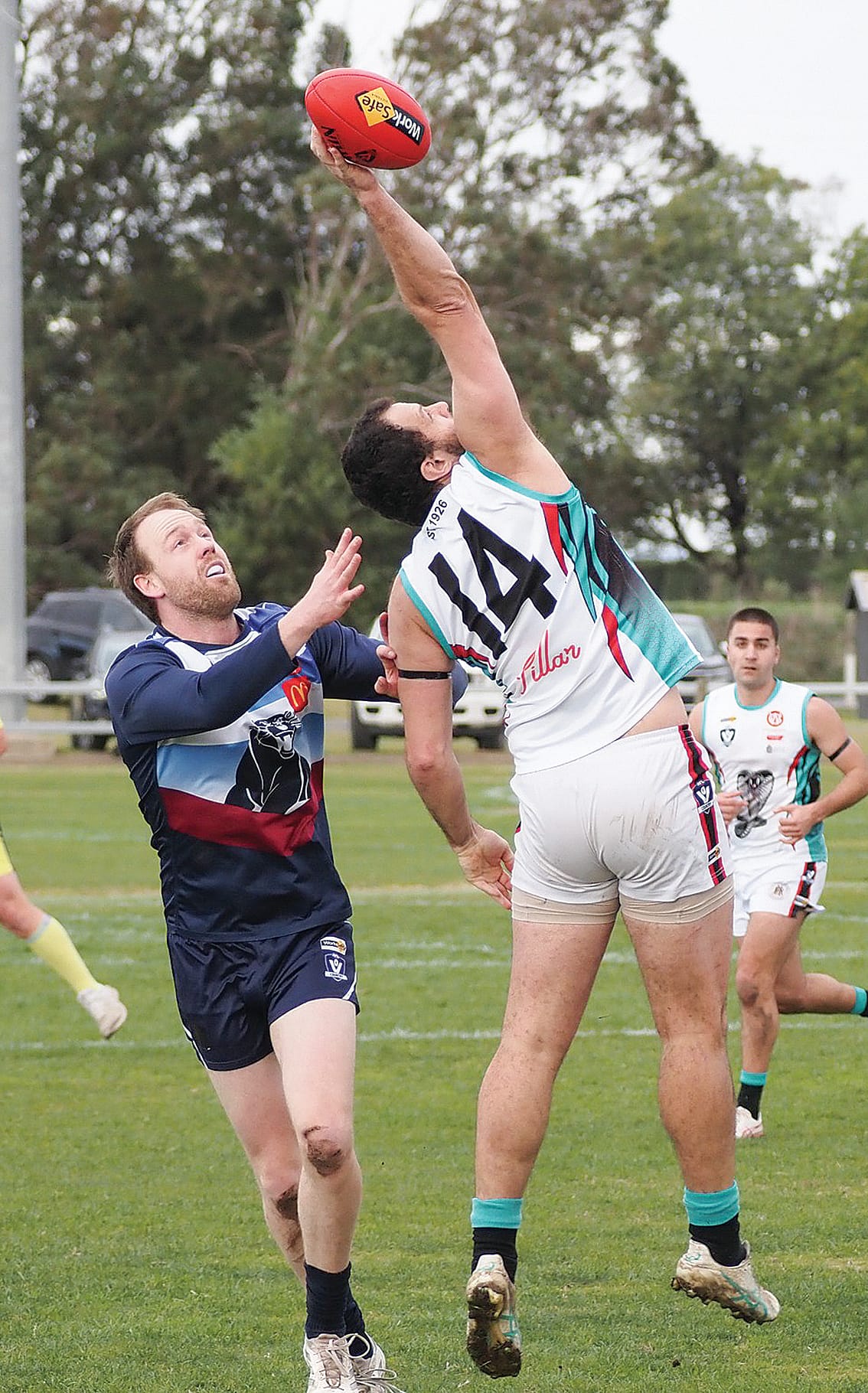 Fast start fades as Panthers fall to disciplined Cobras