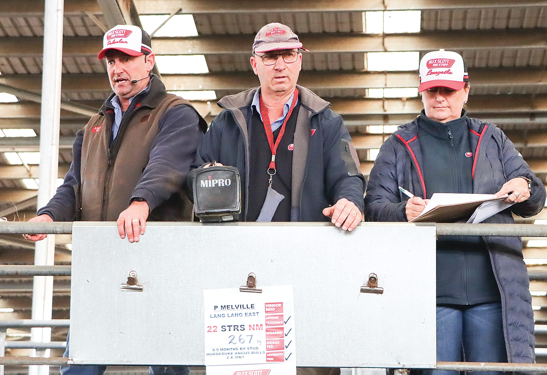 Heavy cattle continue to sell well at Leongatha VLE