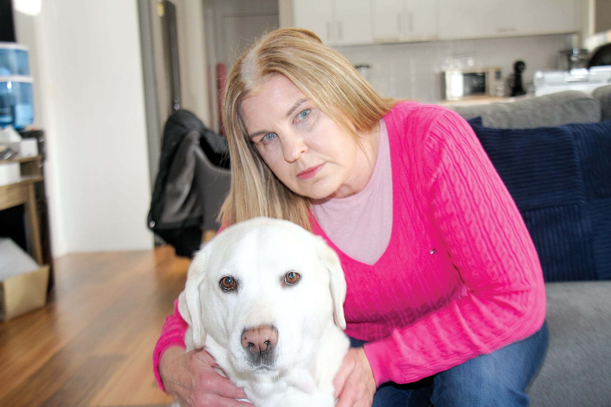 Guide dog lucky to survive horrific dog attack