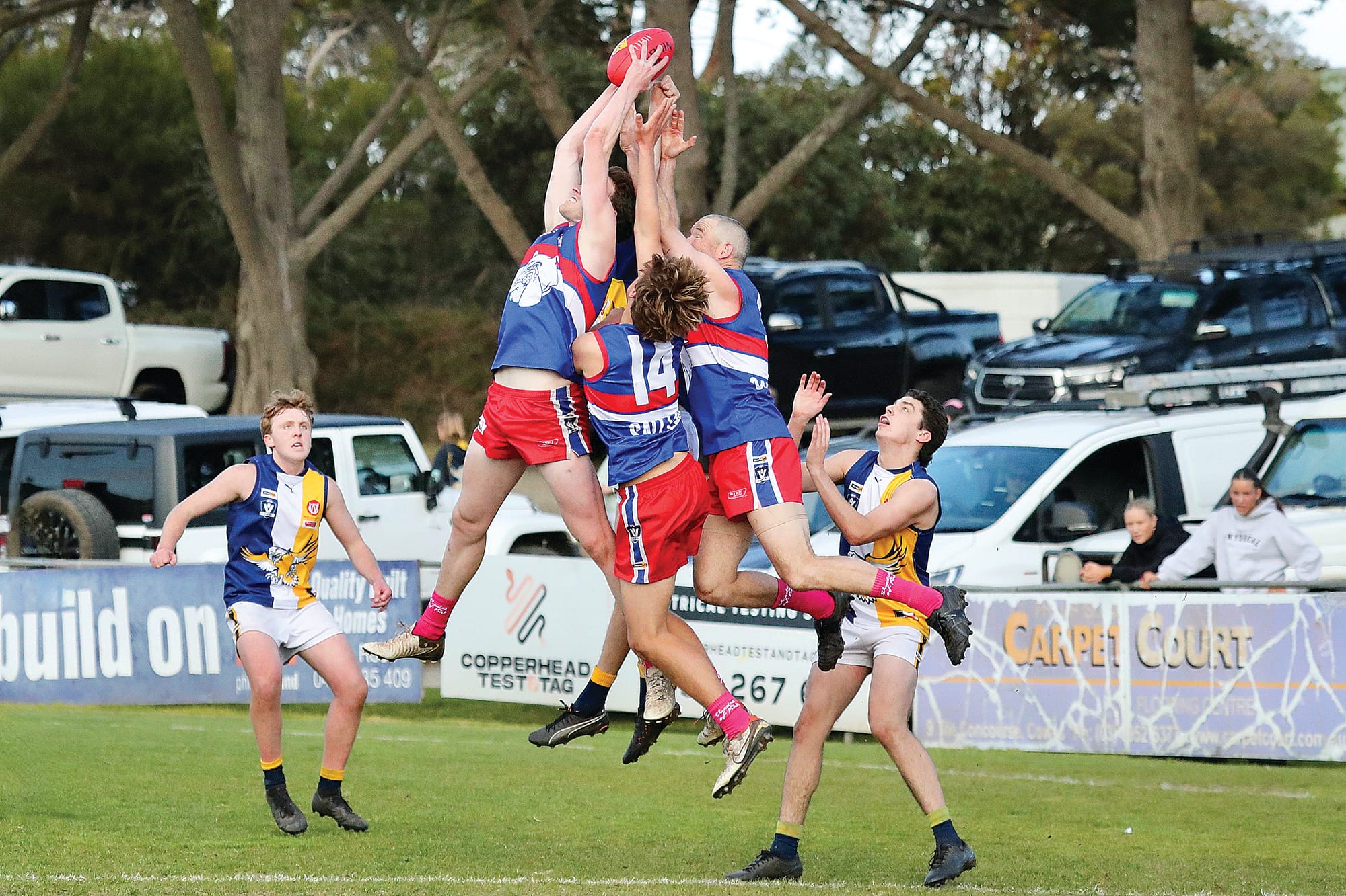 Dogs slaughter the Sea Eagles at the Kennel