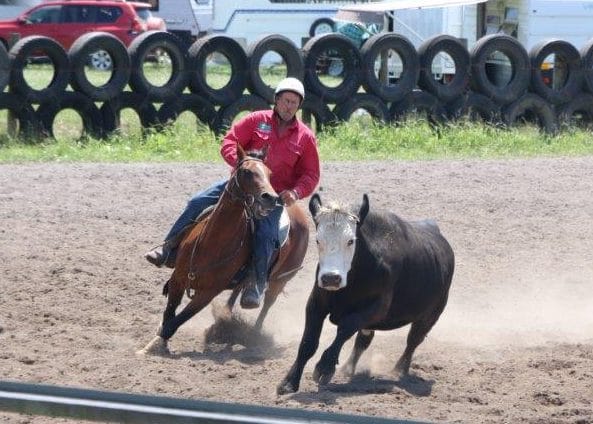 Big campdraft season continues at Dumbalk
