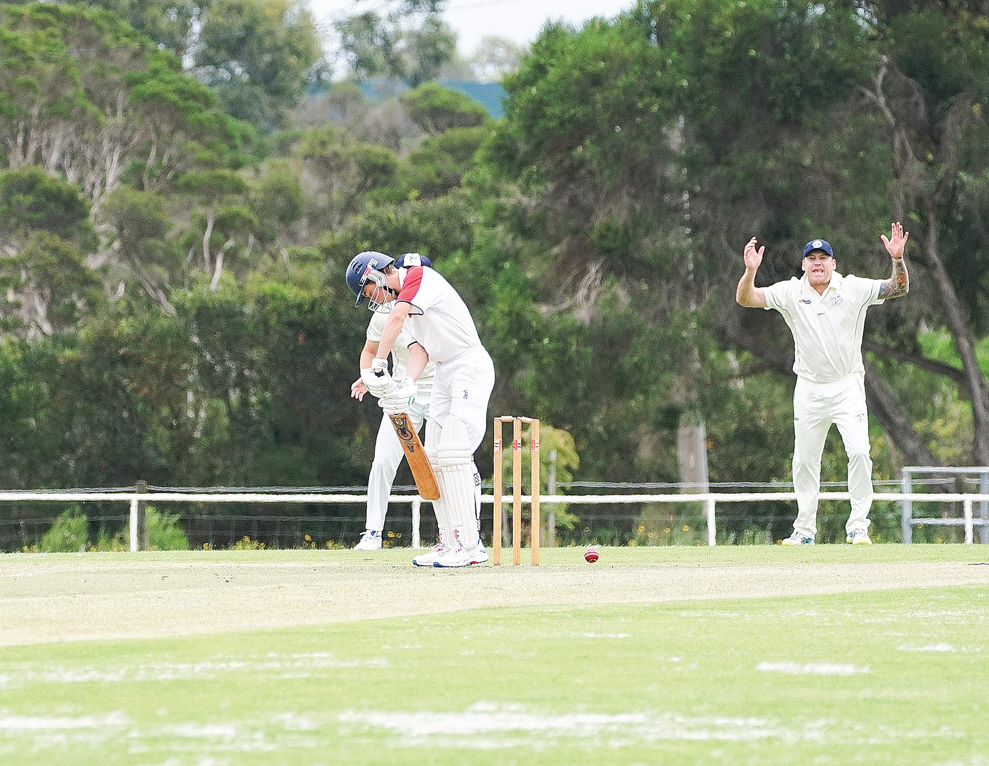 Donohue and Dakin dominate