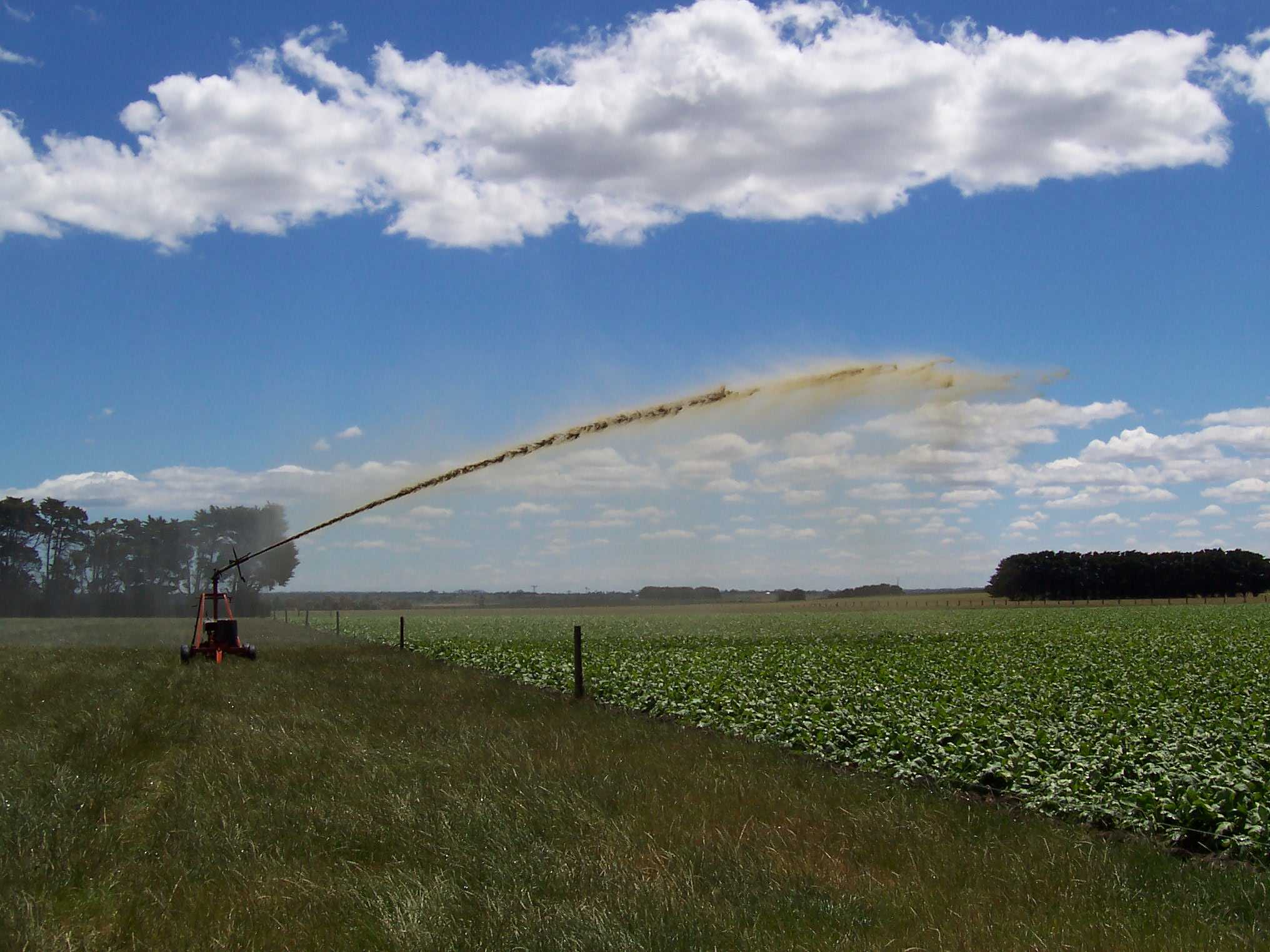 Use your dairy effluent now on silage regrowth