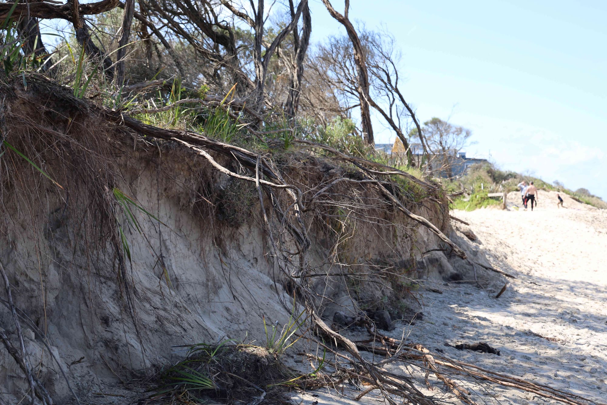 We've listened: No ‘hard engineering’ for Inverloch, says Minister