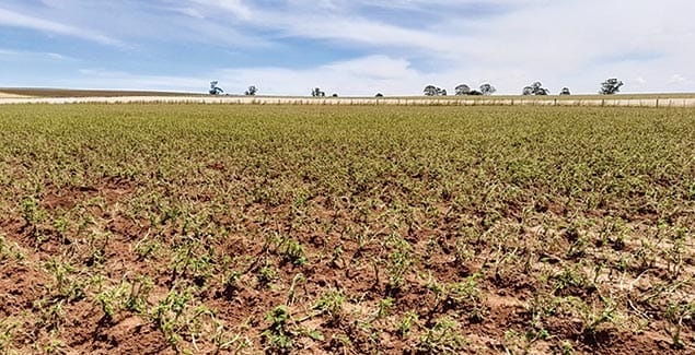 Rural aid stands with farming families