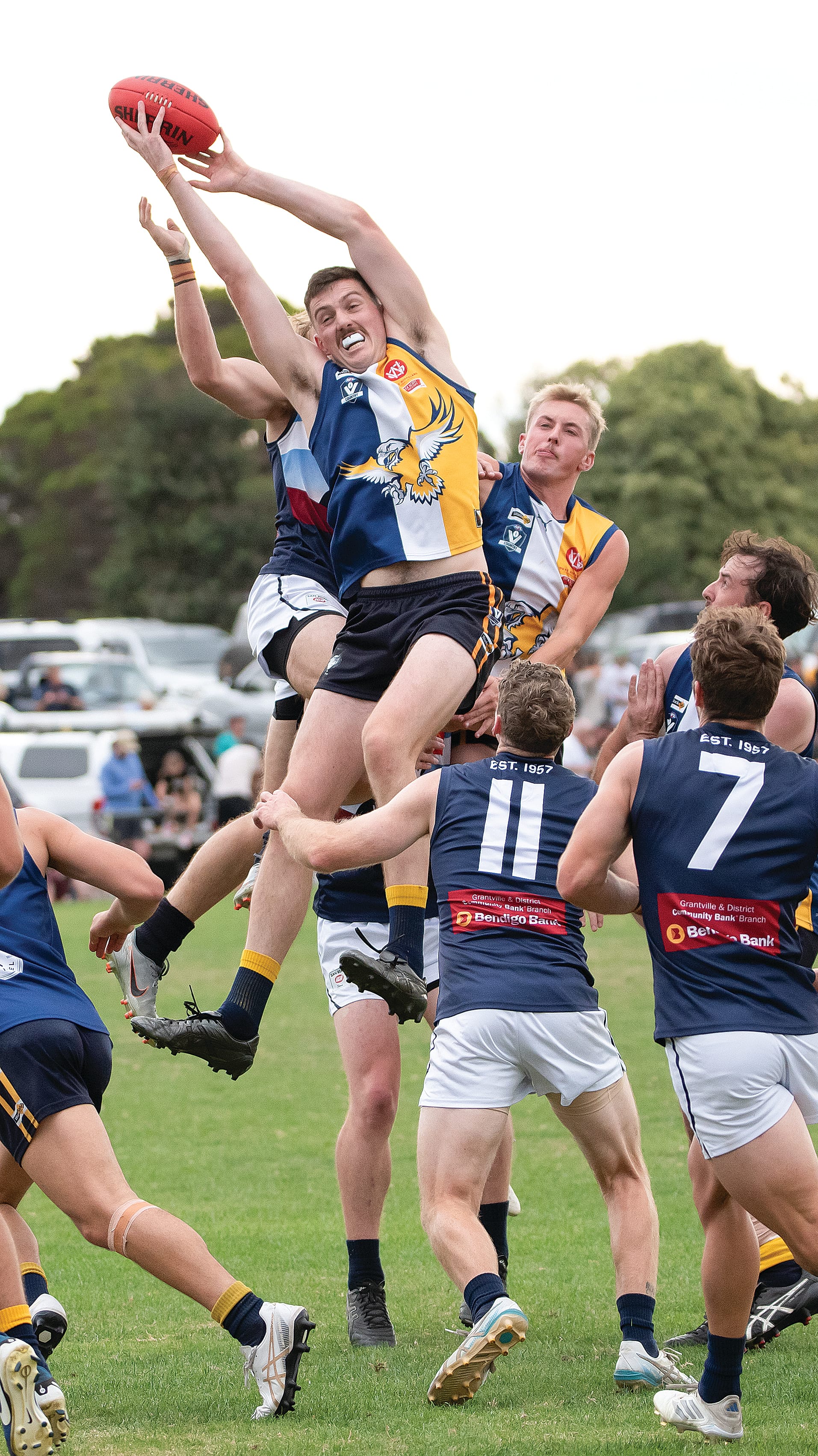 Joseph Nowell flies high above the pack for the Sea Eagles. Photos: Anna Carson