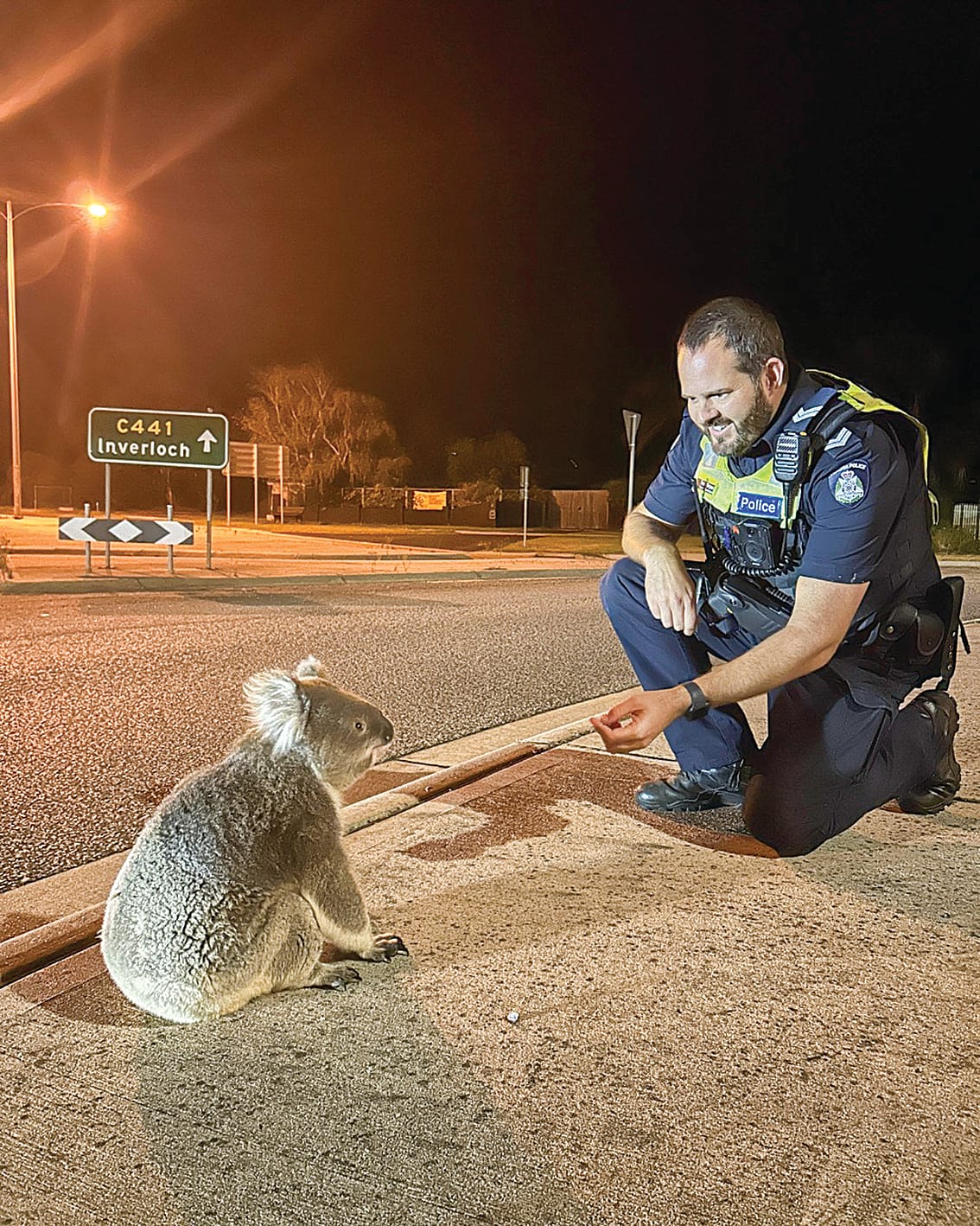 Slow down and save our wildlife