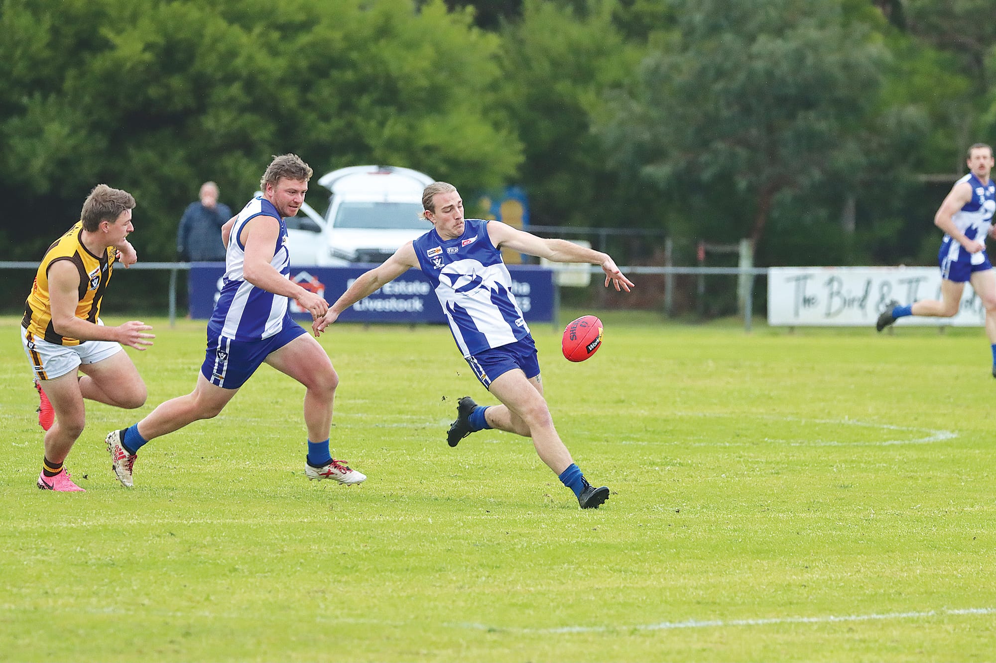 Hawks dominate with strong third quarter surge