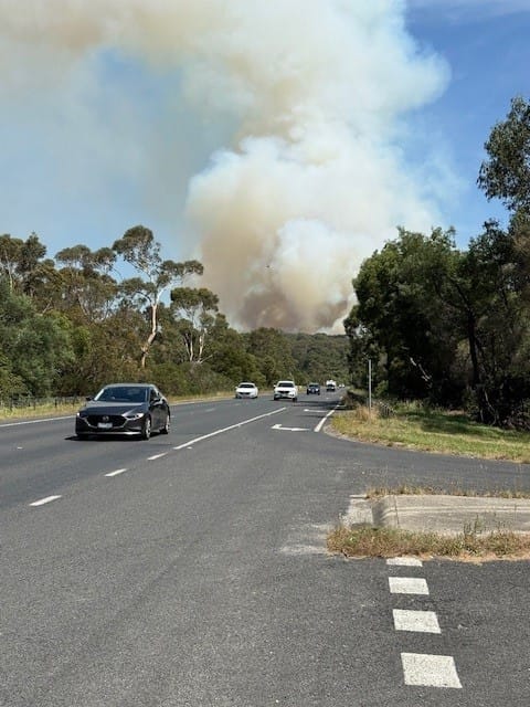 View from the Bass Highway.