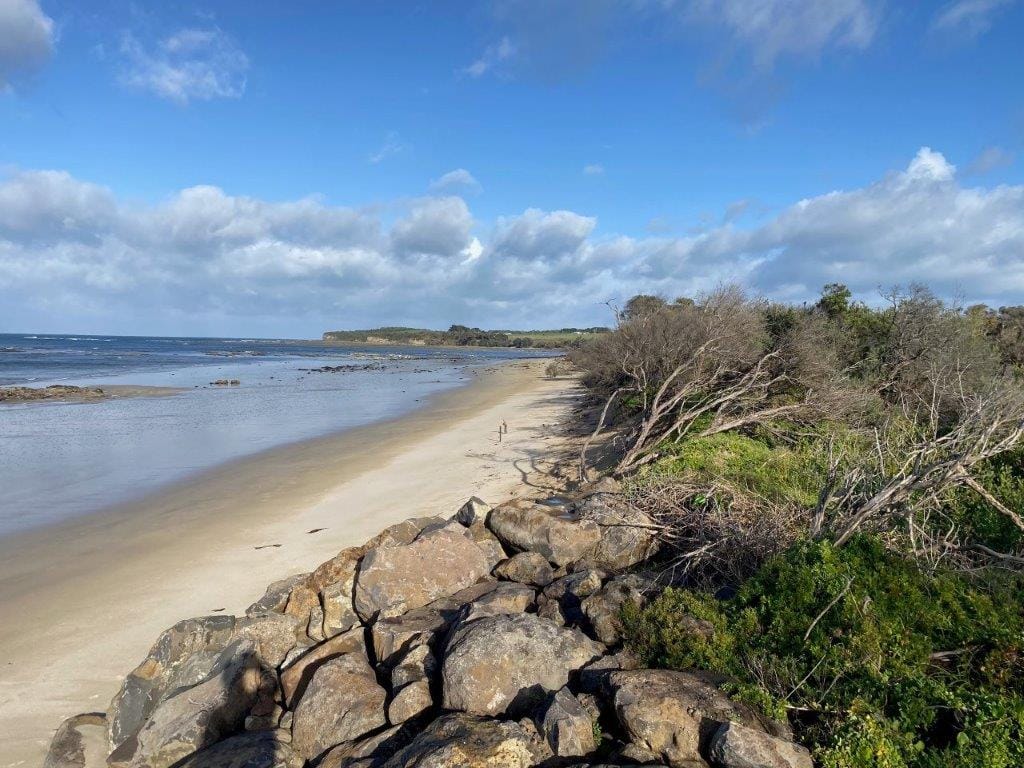 The rock wall has done its intended job, stopping the sea breaking through to Cape Paterson-Inverloch Road (Bunurong Road) but beach erosion has continued from the end of the wall, west to Flat Rocks.