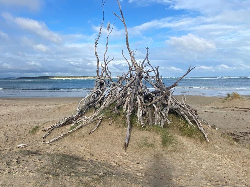 Connecting San Remo to Inverloch via a new iconic coastal trail is the vision for an $8.33 million project announced by the State Government this week.