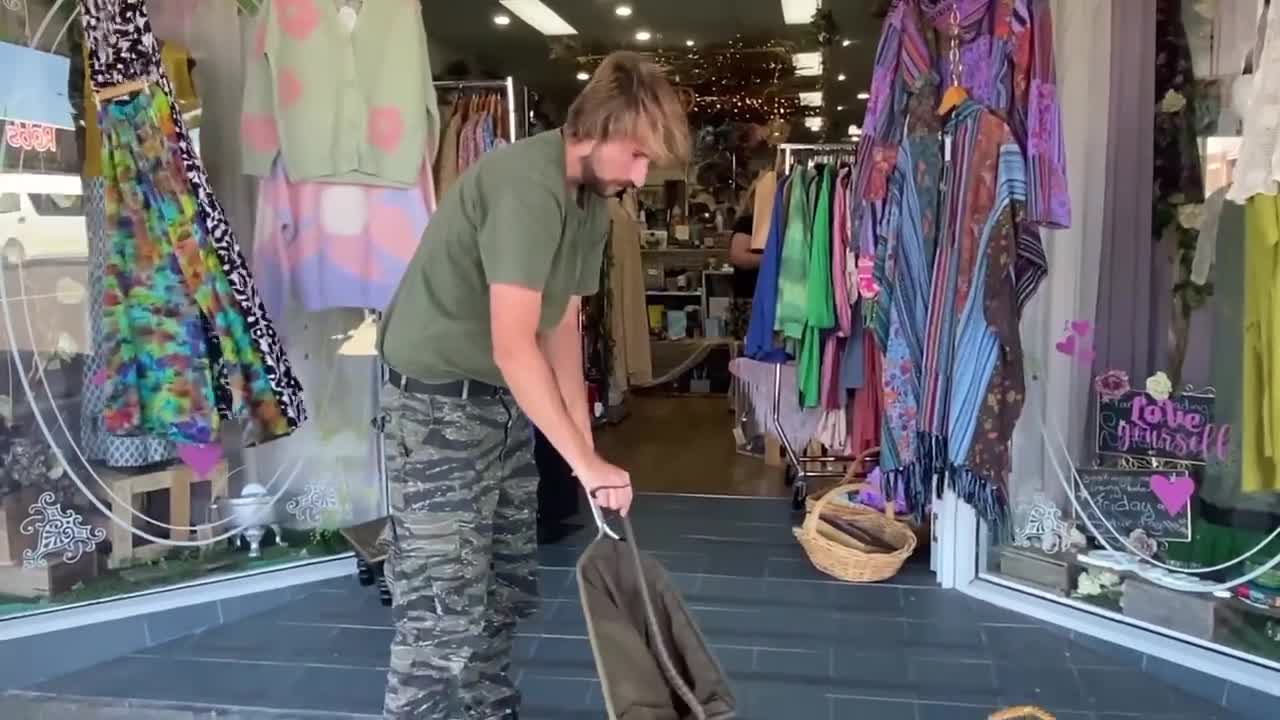Tiger snake caught in Wonthaggi's main street