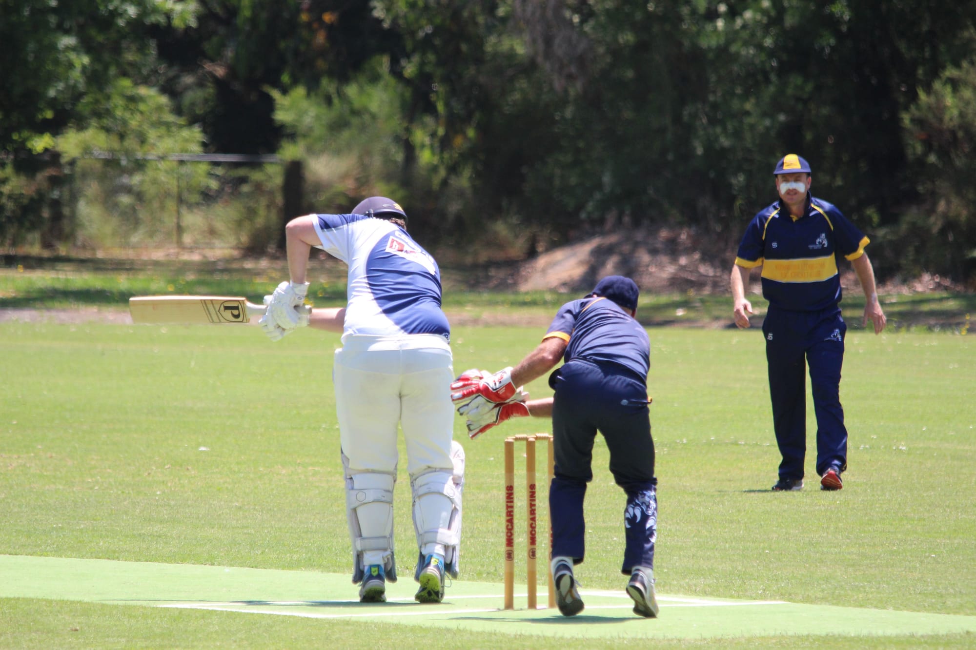 Cougars legend Brad Anderson keeps wicket in his 500th game for the club. 