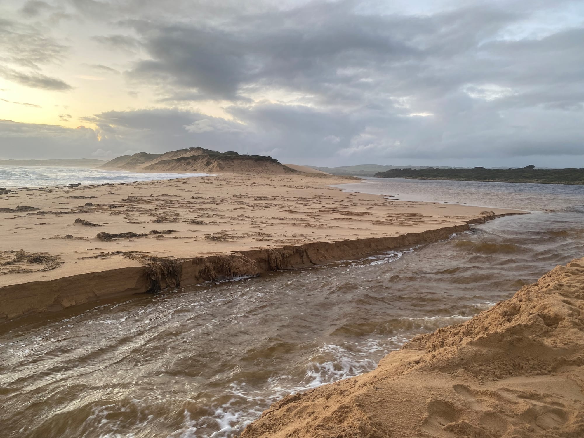 Managing the balance of Bass Coast estuaries