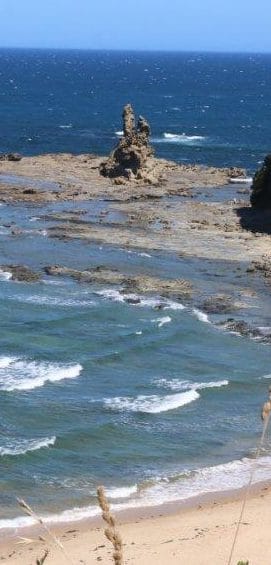 Will you walk to Phillip Island?