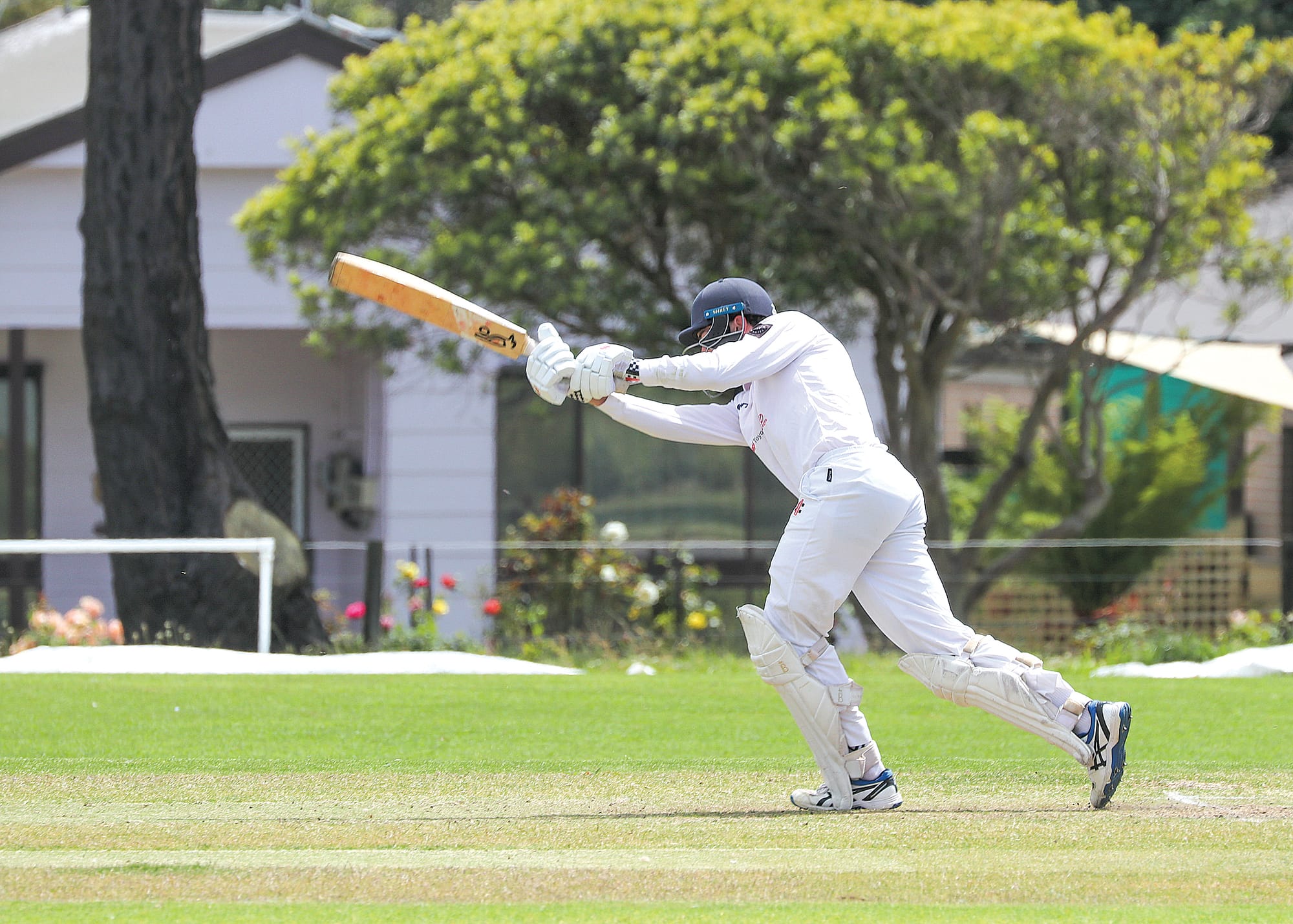 Sharks leave MDU shellshocked