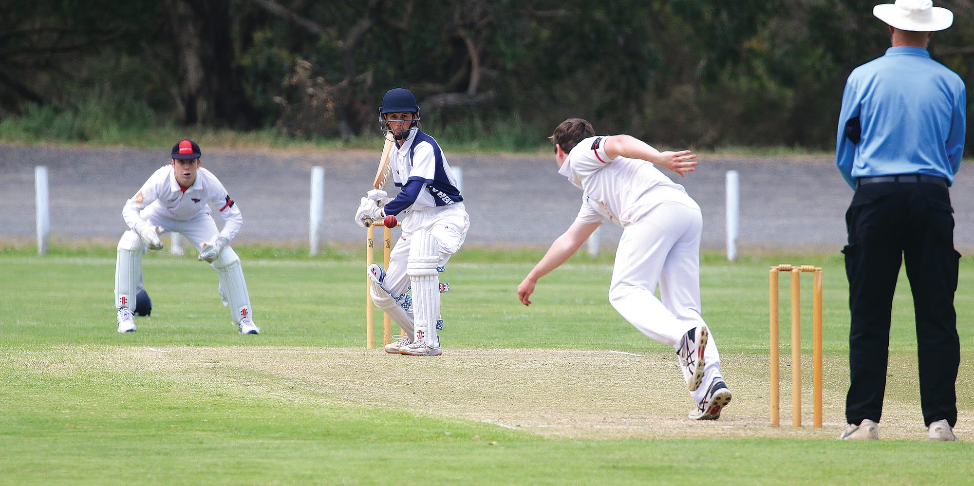 Donohue’s five helps Stingrays down Cobras