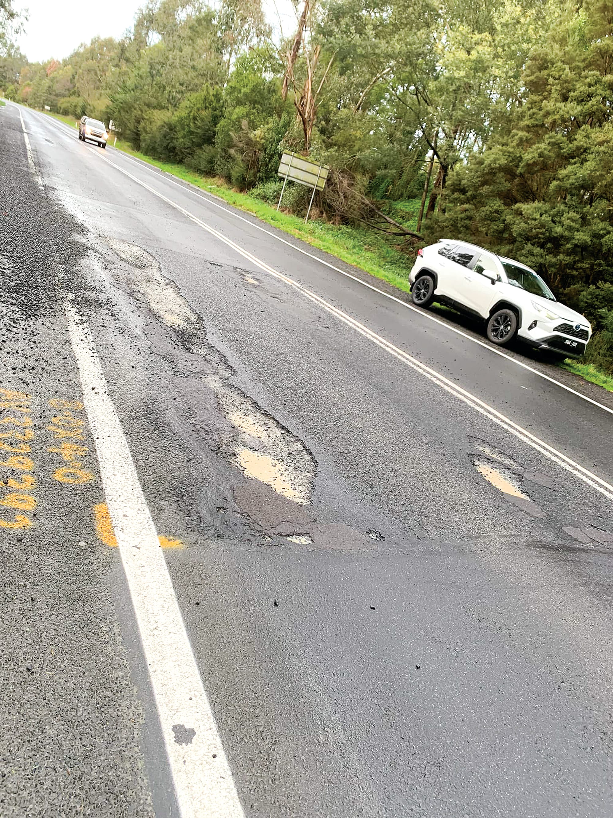 Pothole Pandemic