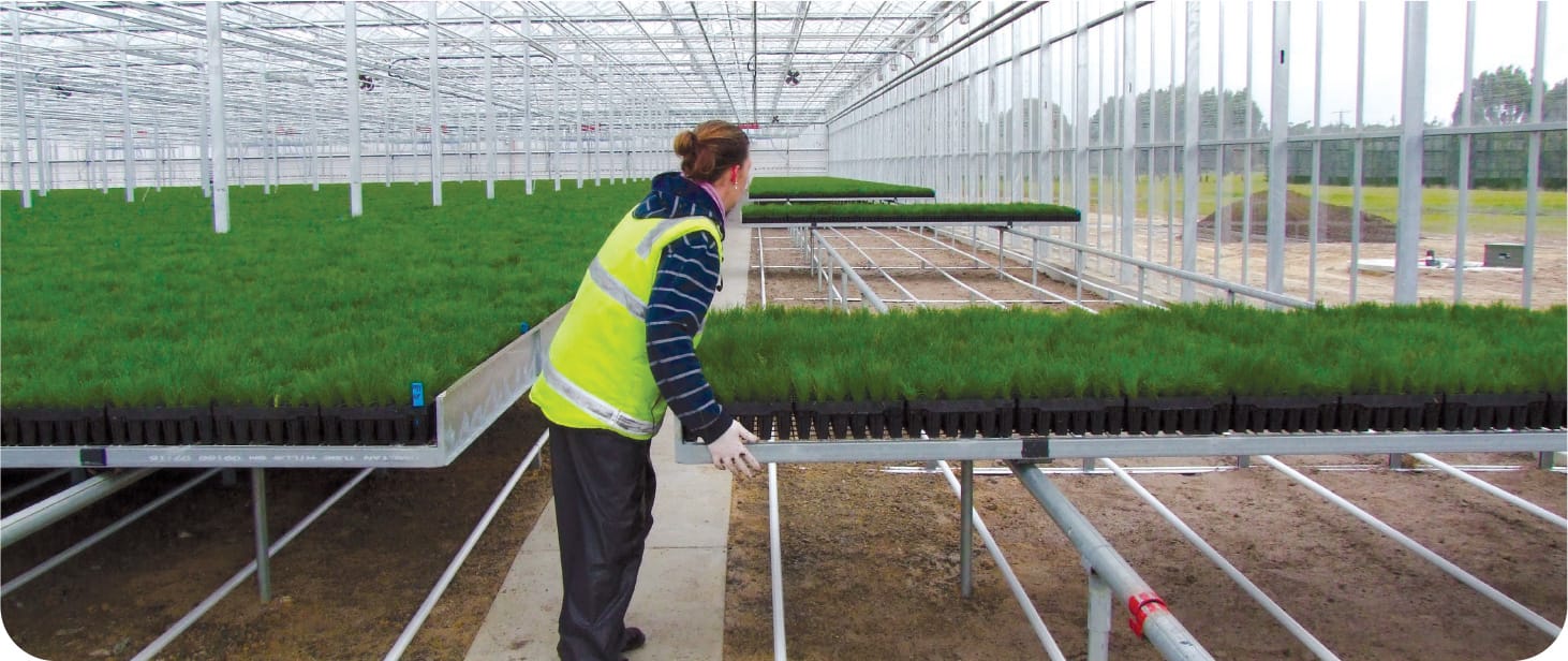 Boost for Gippsland nursery