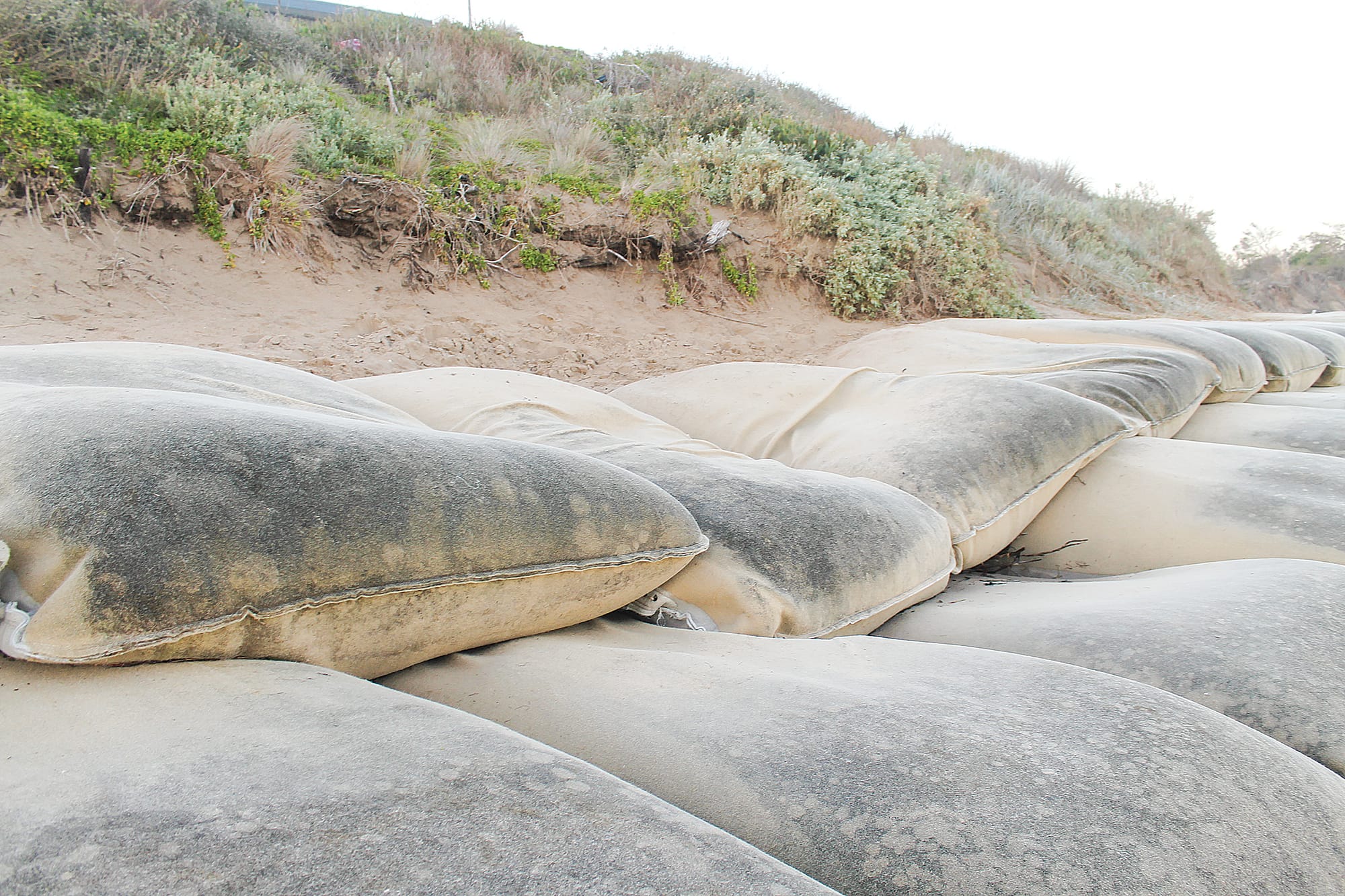 One of the projects proposed is the extension of the geotextile bags in front of the surf lifesaving club at Inverlosh but more permanent solutions are needed they say.