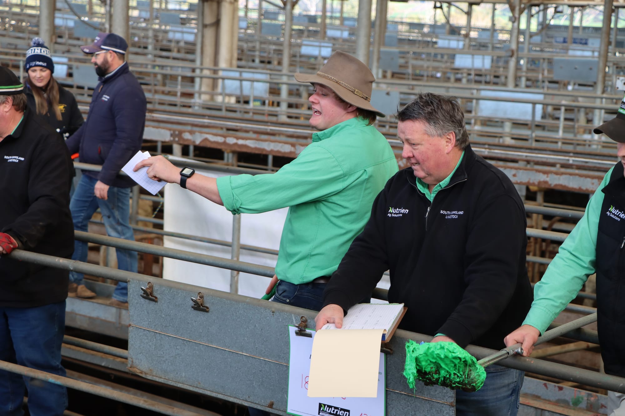 Jack Ginnane, alongside dad Terry Ginnane, sells heifers for Nutrien South Gippsland Livestock.