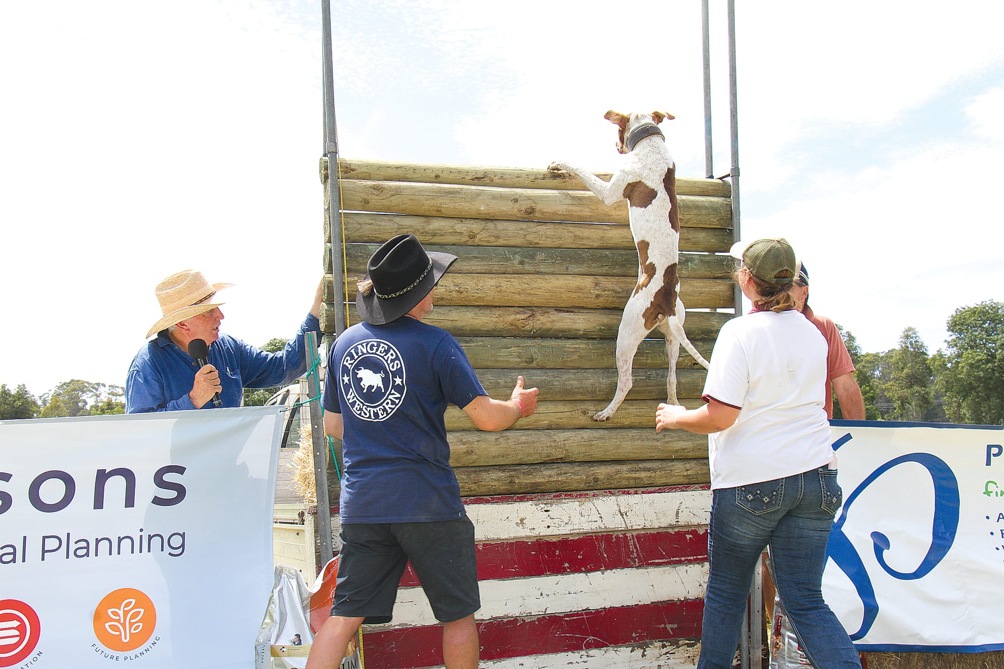 Frankie takes 3rd place in the high jump at the Foster Show B71_0825