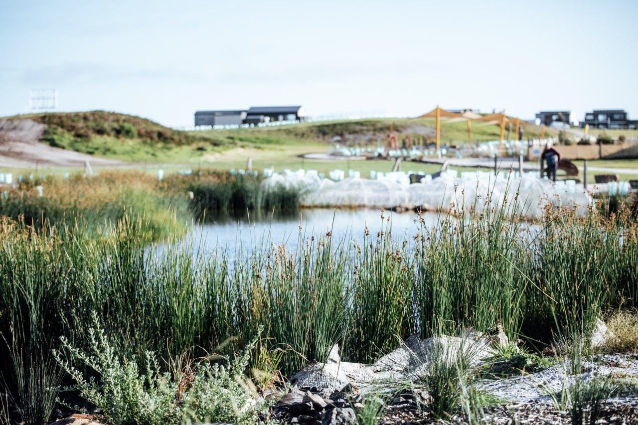 Cape takes state landscape and sustainability awards