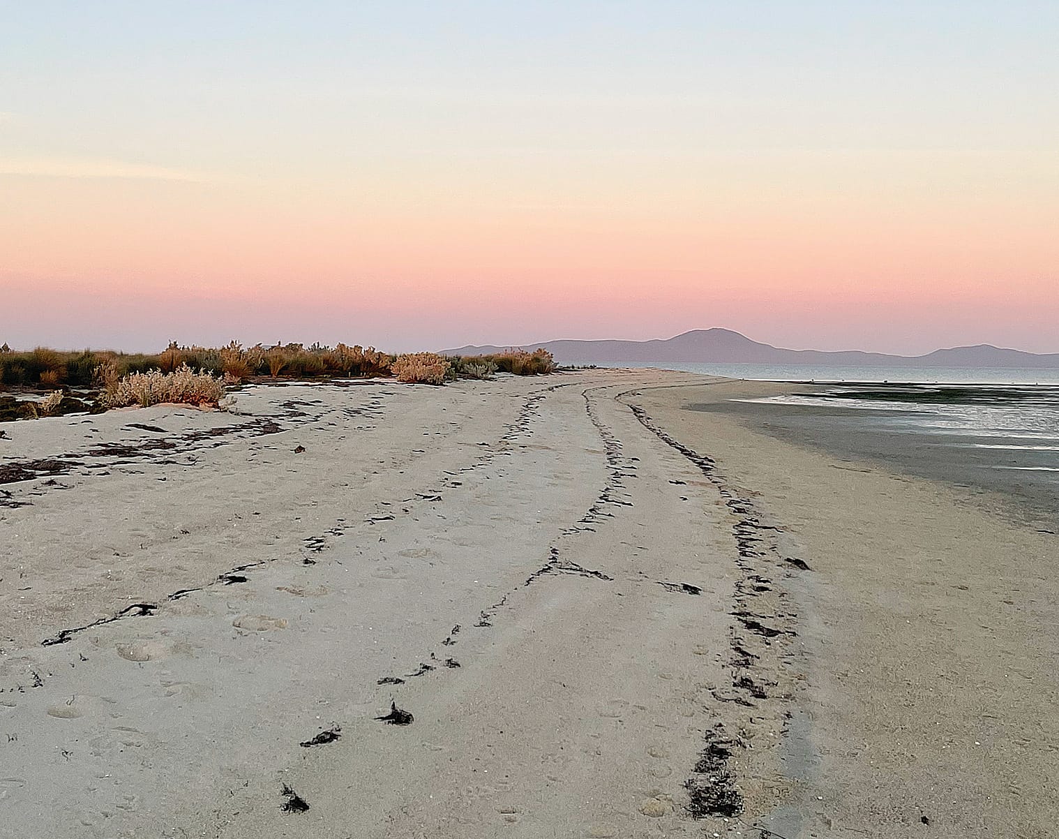 Calls for council not to hand foreshore land management to Government